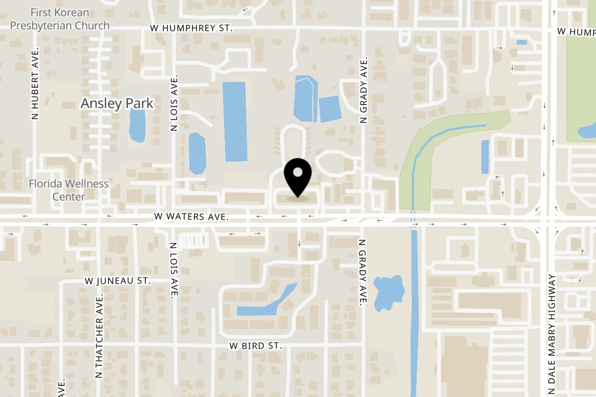 Map showing the location of Chennai Dosa on 4023 W Waters Ave in Tampa